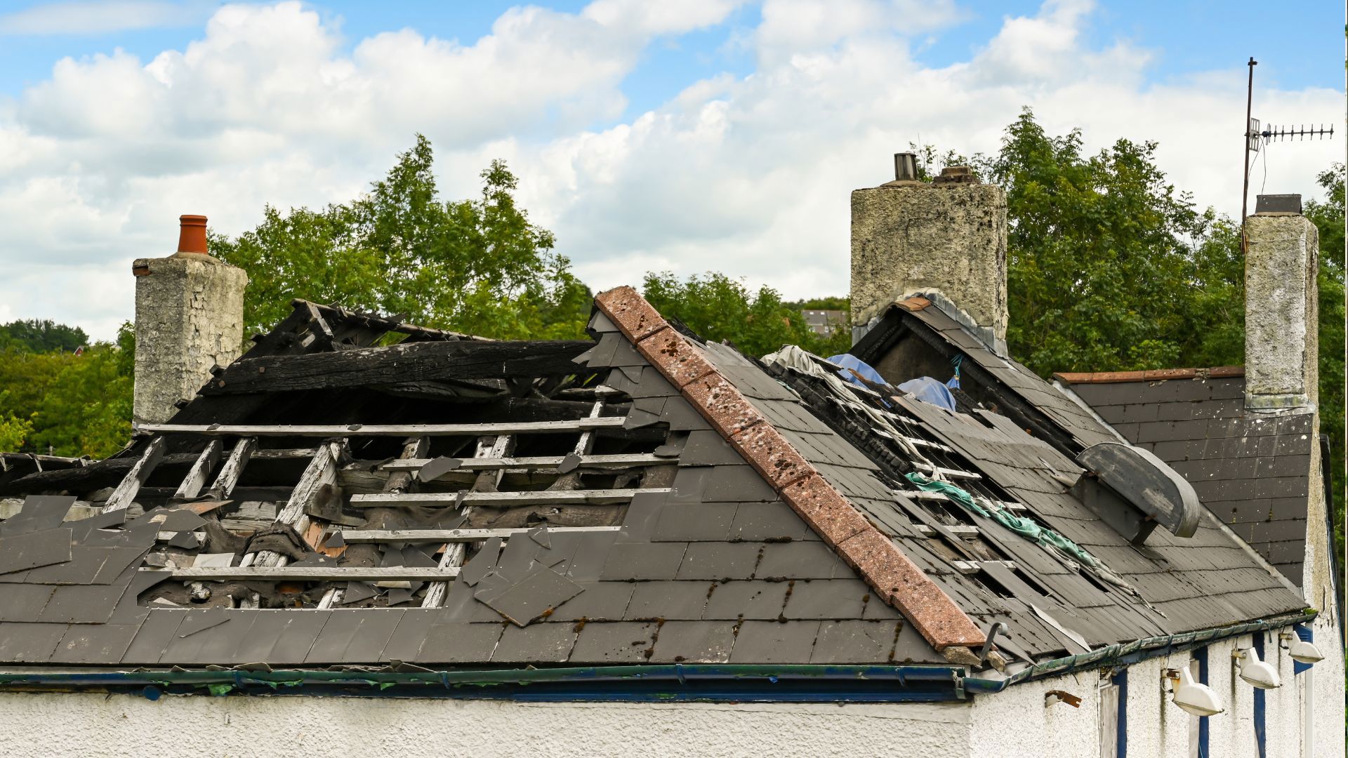Loss Recovery Services(3)