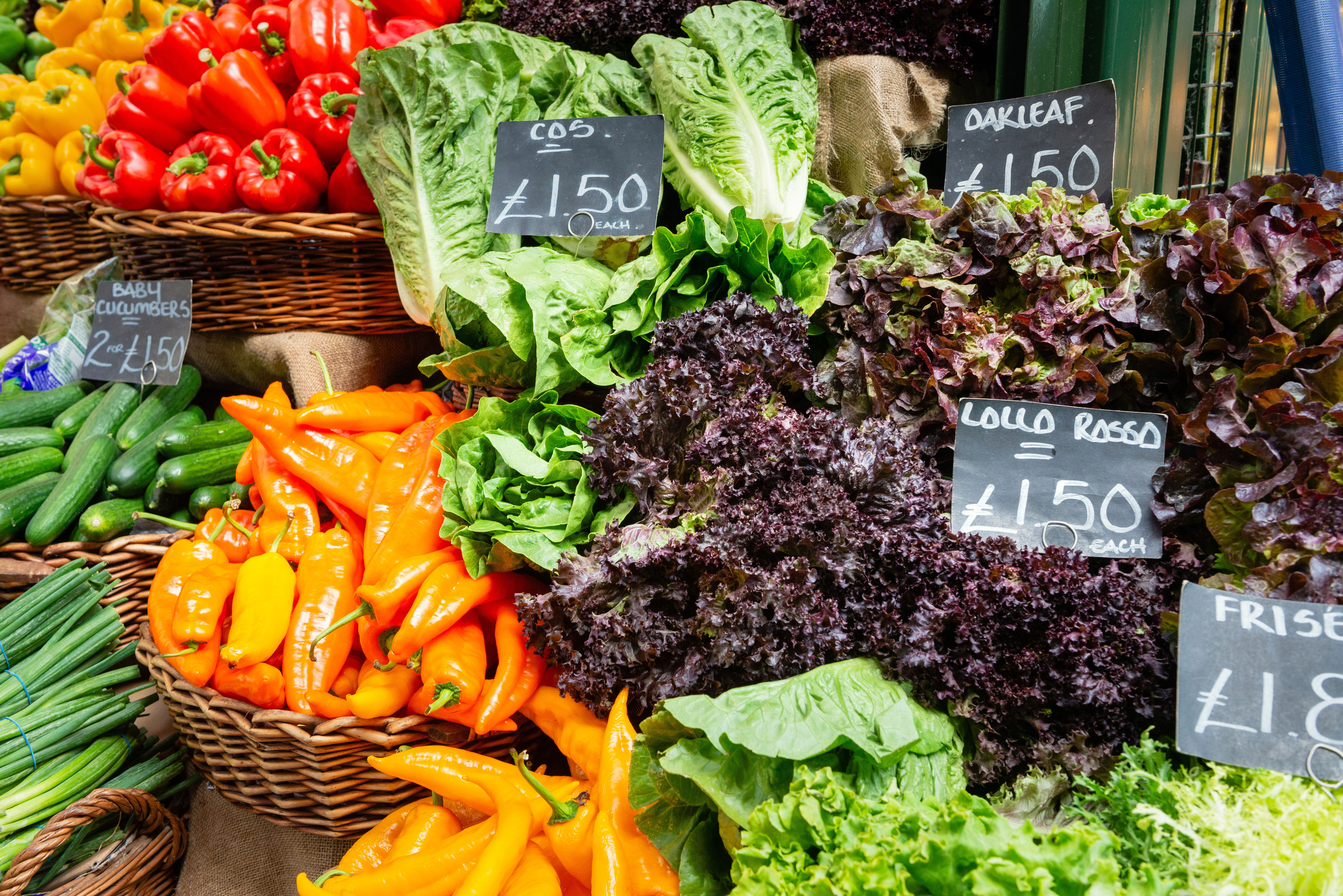 Adobestock 366177216