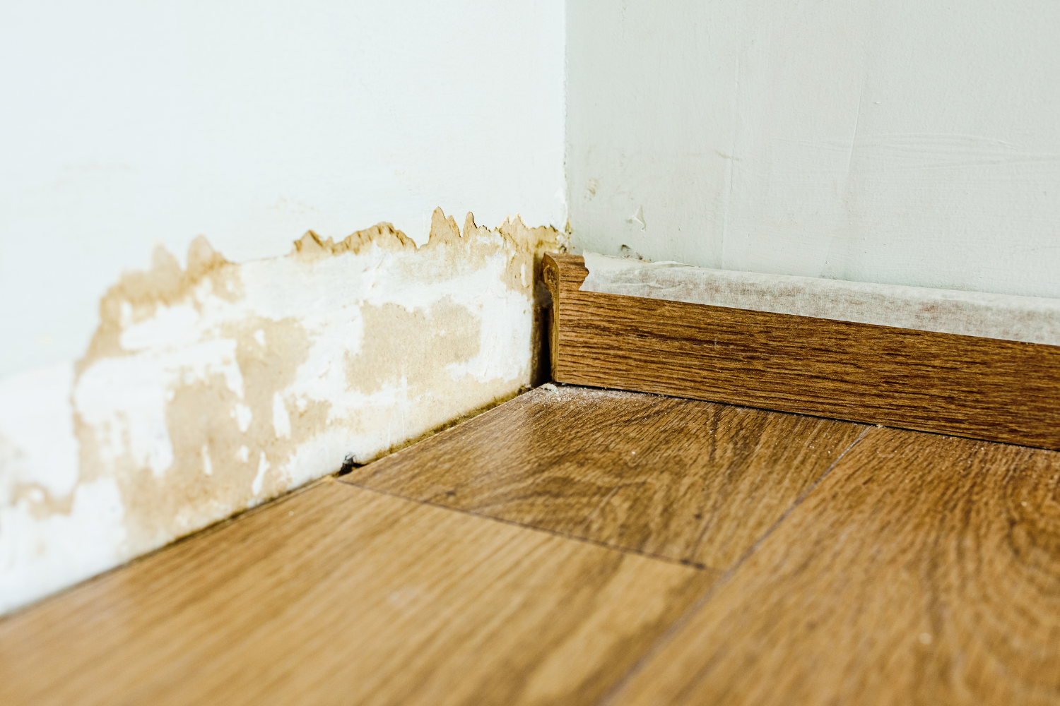 Escape Of Water (EOW) Assessments Home Household Water Damage (13)